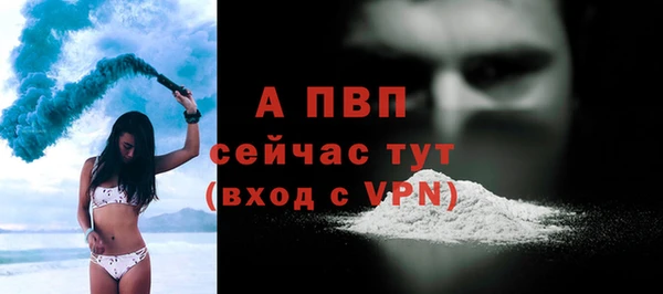ПСИЛОЦИБИНОВЫЕ ГРИБЫ Белокуриха