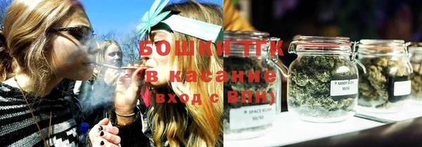 ПСИЛОЦИБИНОВЫЕ ГРИБЫ Белокуриха
