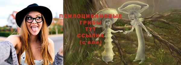ПСИЛОЦИБИНОВЫЕ ГРИБЫ Белокуриха