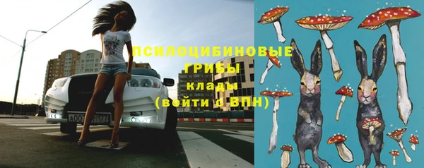 метадон Богородицк